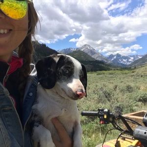 Meet your Posher, Hailey